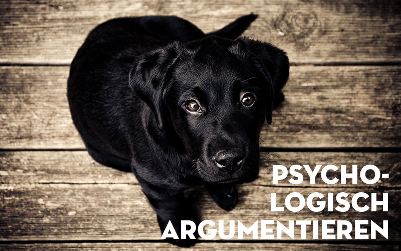 Argumentieren und überzeugen, Hundeblick | Zebra Dot | Kommunikation, Copywriting, Texten